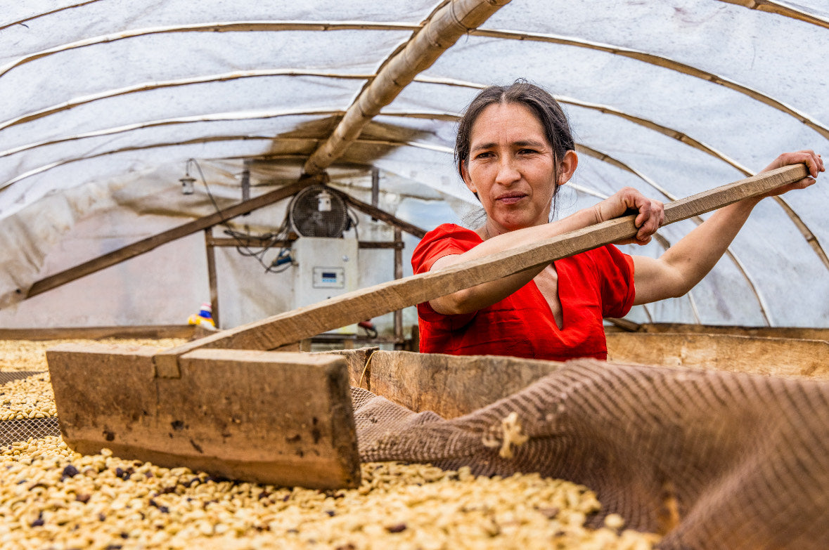 Why Specialty Coffee?